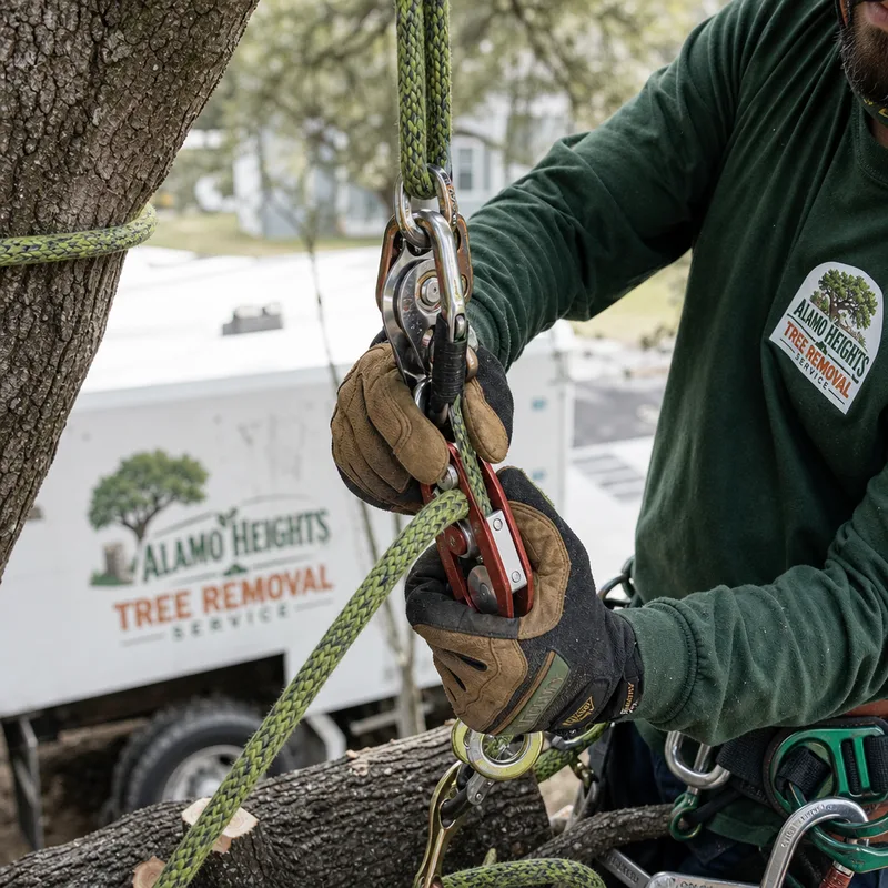 Close-up of rope, pulley, and friction-device rigging used to lower heavy limbs safely