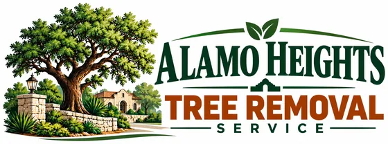 Alamo Heights Tree Removal Service